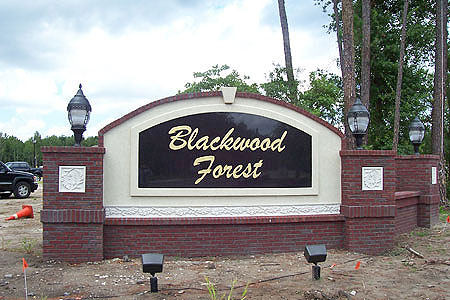 Blackwood Forest