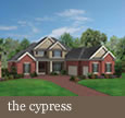 Cypress Plan