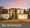 Dominique Plan