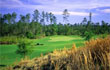 Panther Creek