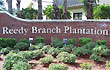 Reedy Branch Plantation