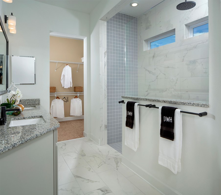 Shearwater in St. Augustine, Florida