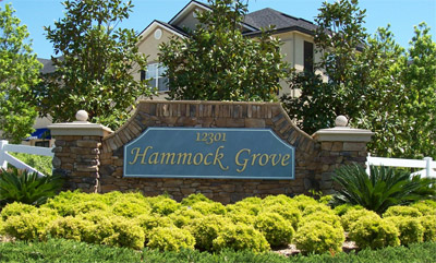 Hammock Grove at Kernan Forest