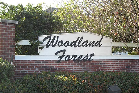 Woodland Forest Community